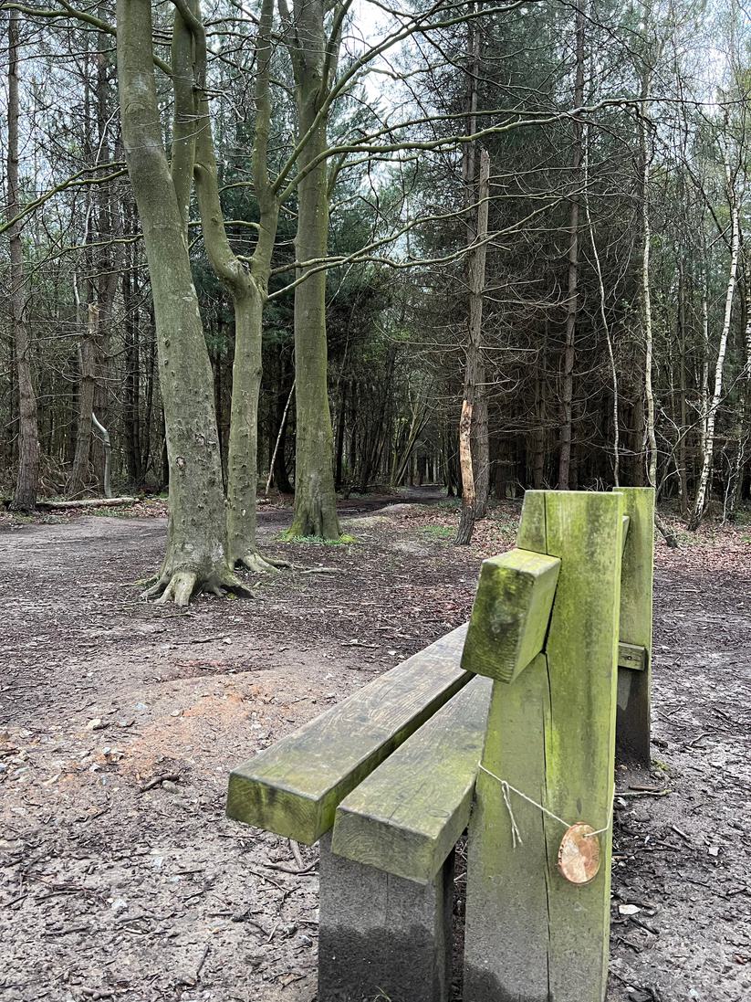 BENCH