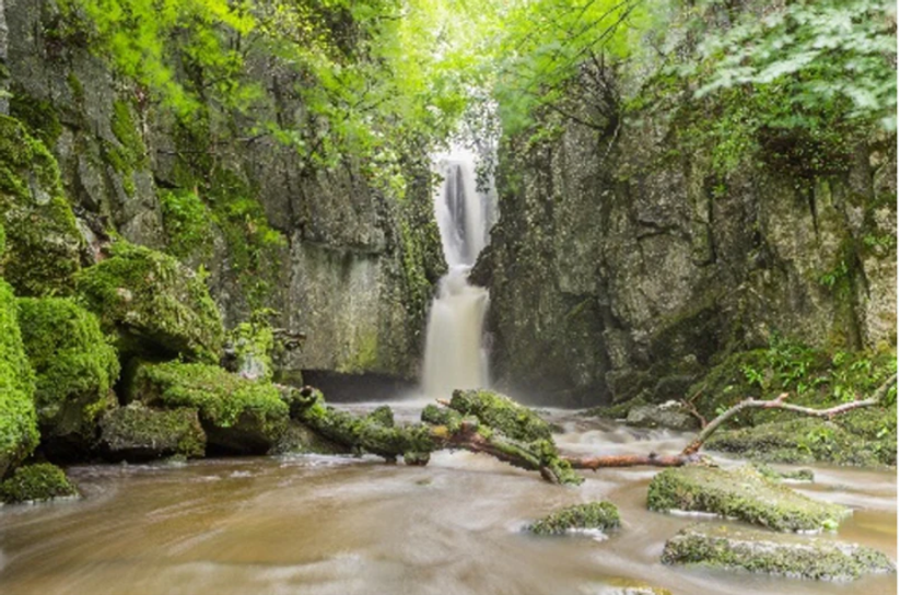 Catrigg Force