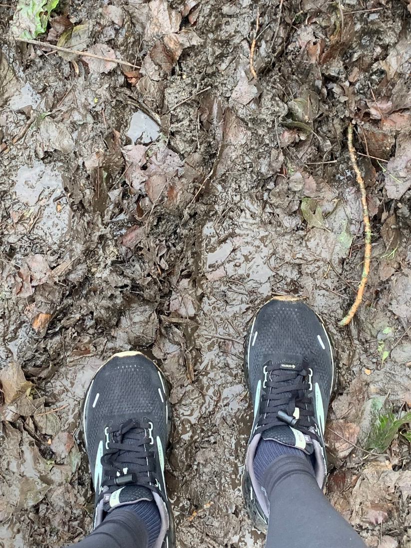 Muddy track